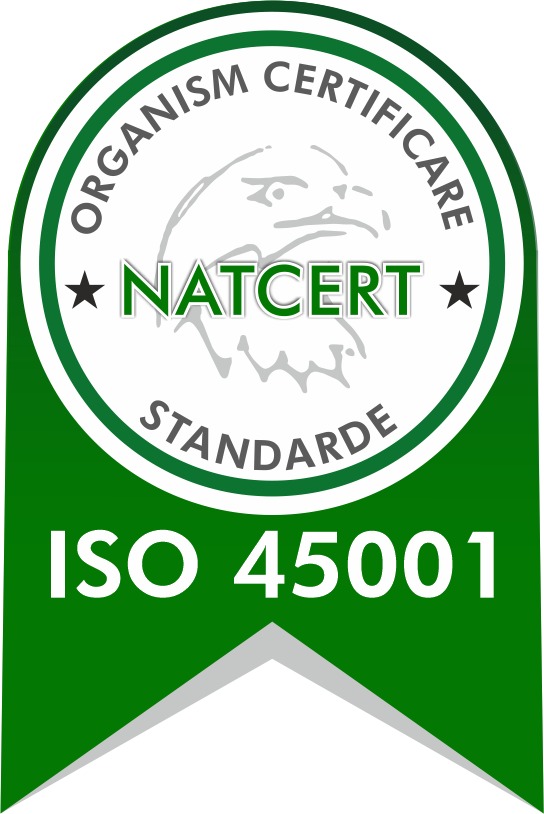 Excelență Certificată în Construcții Metalice