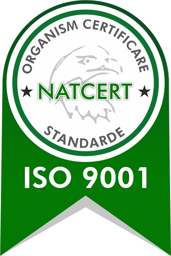 Excelență Certificată în Construcții Metalice